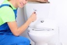 Wollemitoilet-replacement-plumbers-11.jpg; ?>